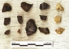 Ollamurray flint arrowheads